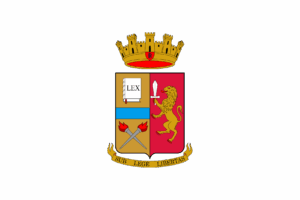 Certificato di licenza della Questura per Cosmos, azienda certificata.