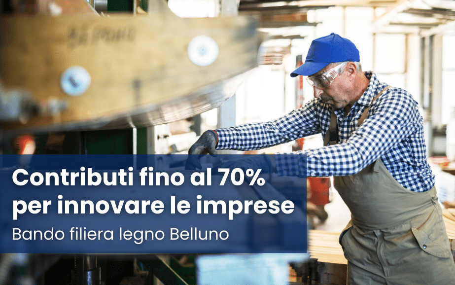 Bando filiera legno Belluno: contributi fino al 70% per innovare le imprese